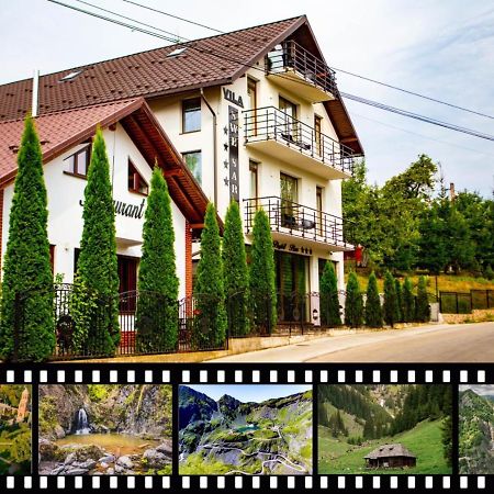 Vila Swe Sar Hotel Curtea De Arges Exterior photo